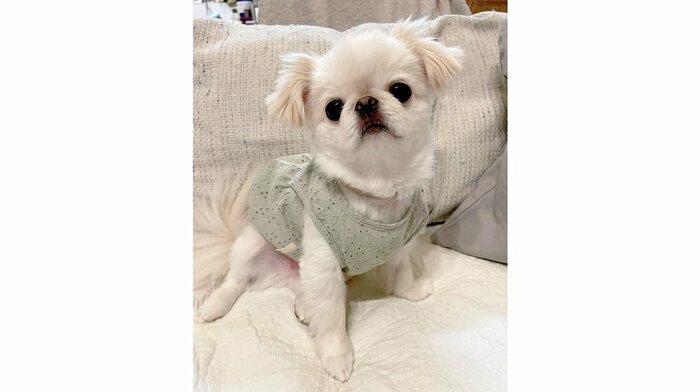 むぎちゃん