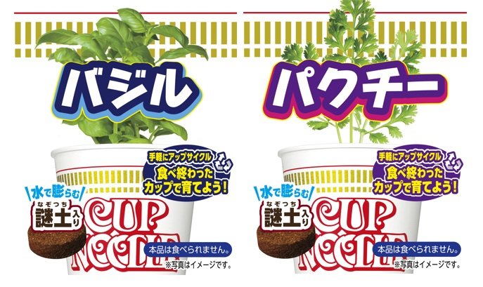 (提供:日清食品)※画像はイメージ