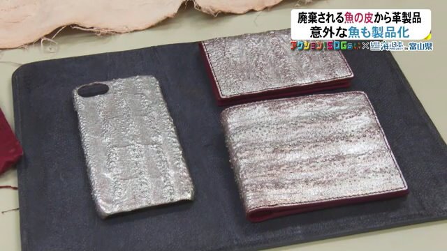 リュウグウノツカイの皮で作られた財布