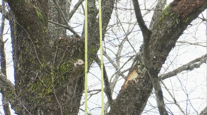 事故現場の別荘地