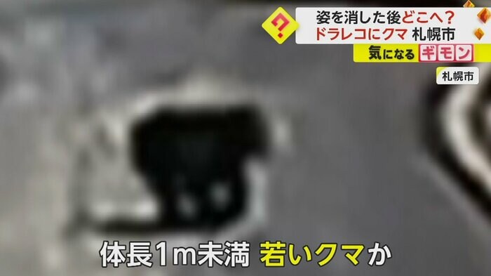 (画像:視聴者撮影)