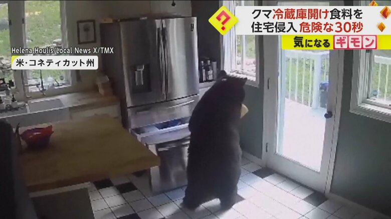 犯行時間わずか30秒　“クマ”が住宅のキッチン侵入、ラザニア盗む…前足で冷蔵庫を開ける　アメリカ｜FNNプライムオンライン
