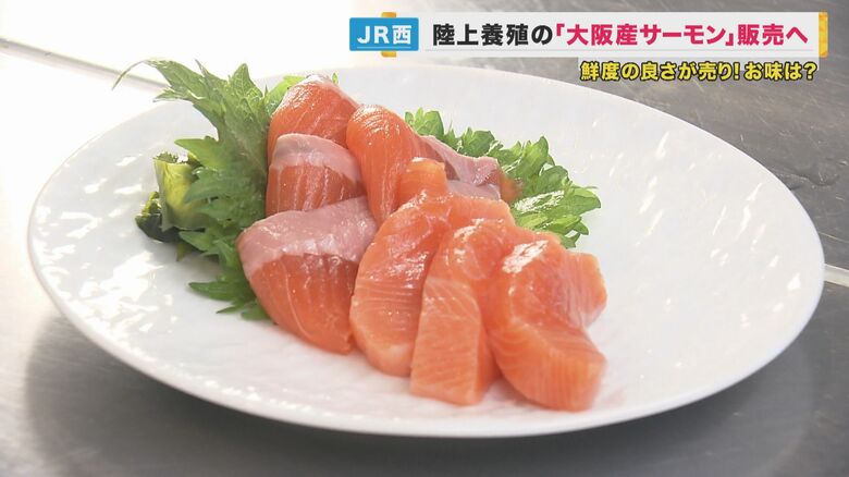 大規模「サーモン陸上養殖」大阪で　「物流費がものすごく安くなる」　寄生虫リスクが低く安定生産可能　JR西日本グループ｜FNNプライムオンライン