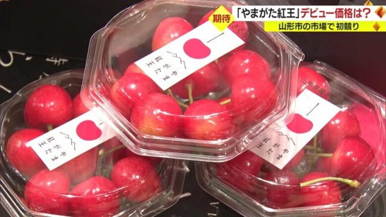密着！ 新品種「やまがた紅王」デビュー 初競りから店頭に並ぶまで　求めやすい価格でお客さんに届けたい【山形発】｜FNNプライムオンライン