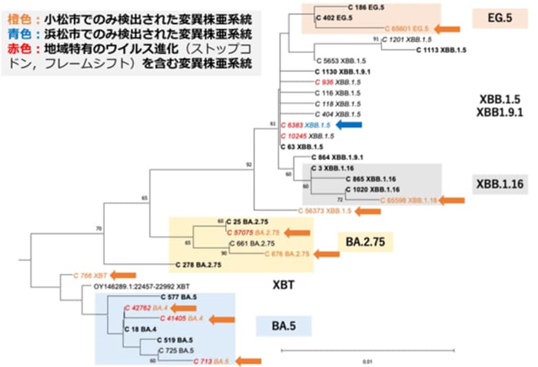 “知られざる変異株”を下水から検出!