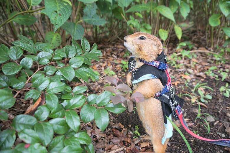 散歩中にちょっと休憩