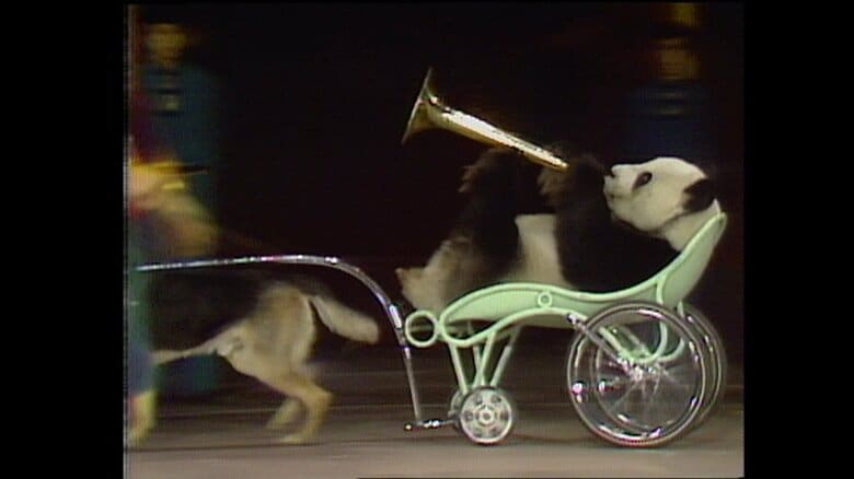 ラッパを吹くウェイウェイ