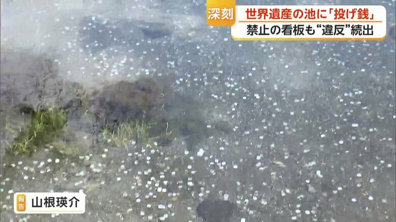 白く見えるのは全てコイン