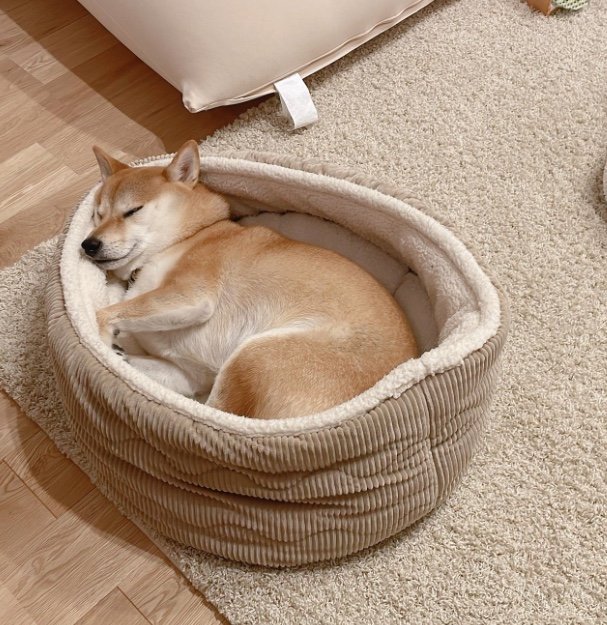 提供：柴犬りんご郎 YouTube 