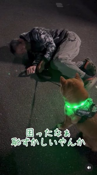 提供：カンさん