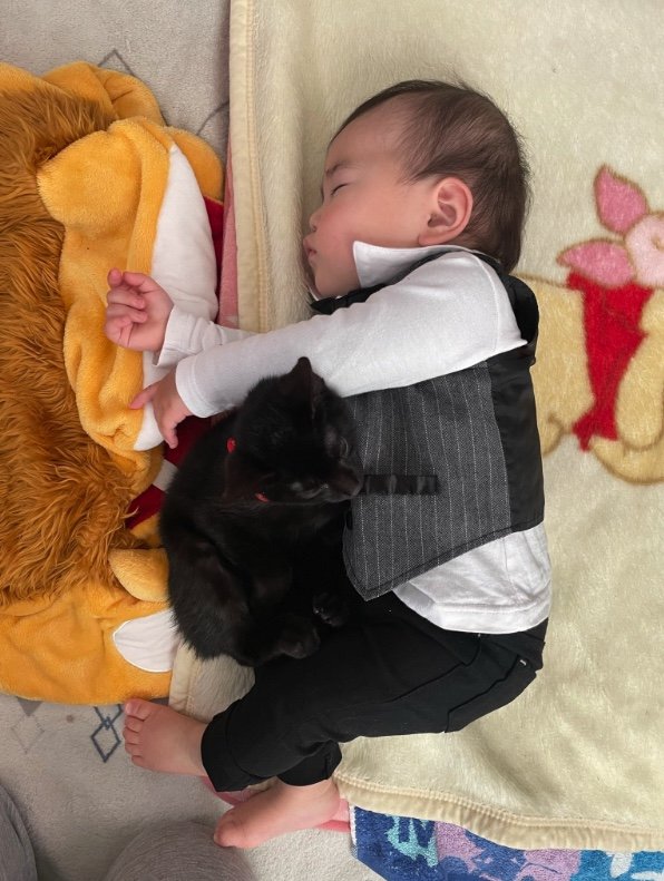 提供：ゴンゾウR4さん