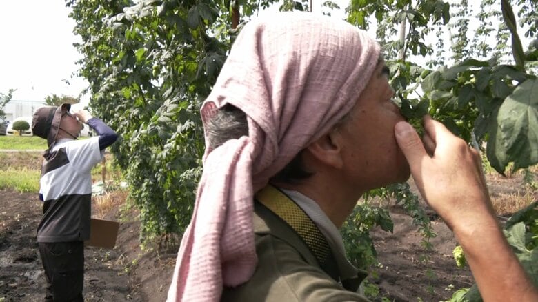 「大泉さんは農家に向いている」と話す北野さん（手前）