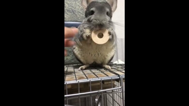 一回受け取るが…