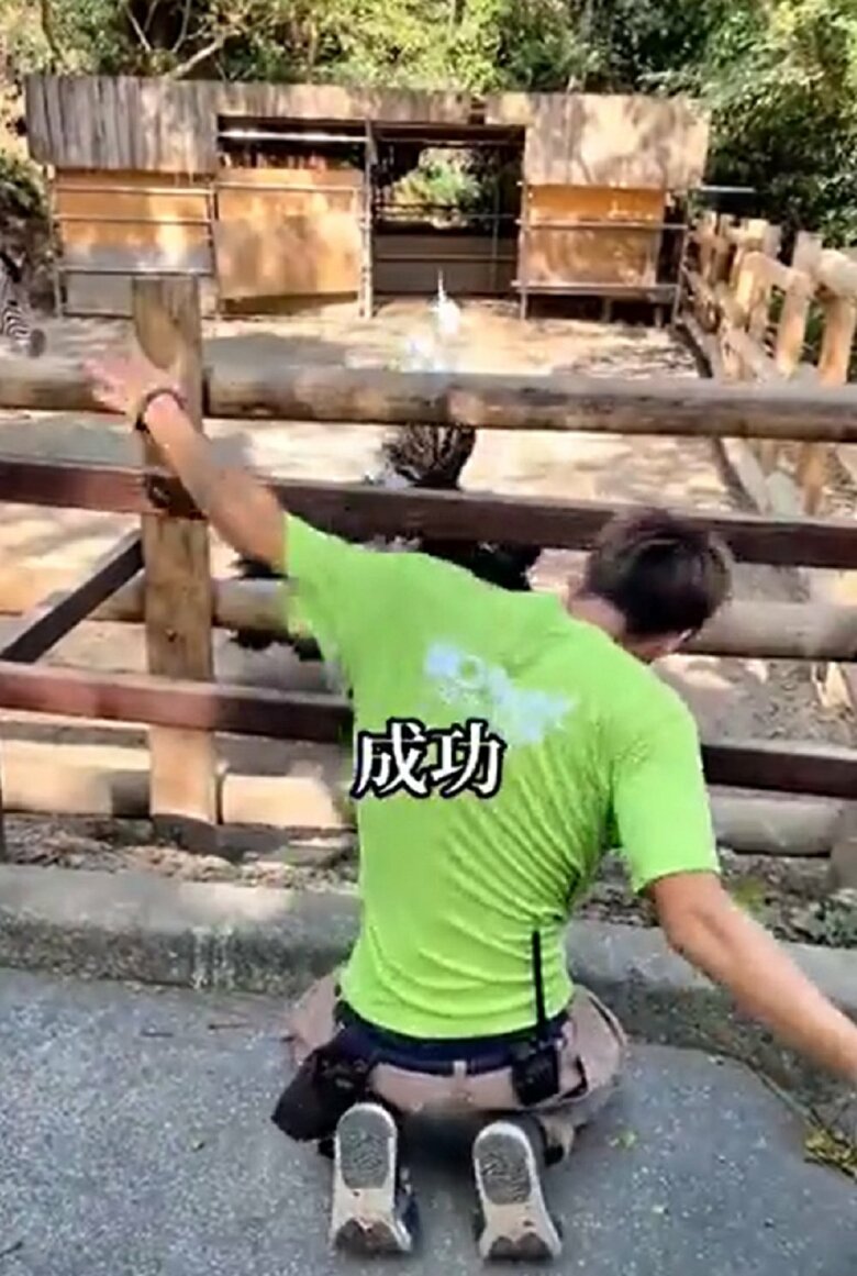 キョウちゃんも即座に踊り返してくれたので成功と言って間違いなし！