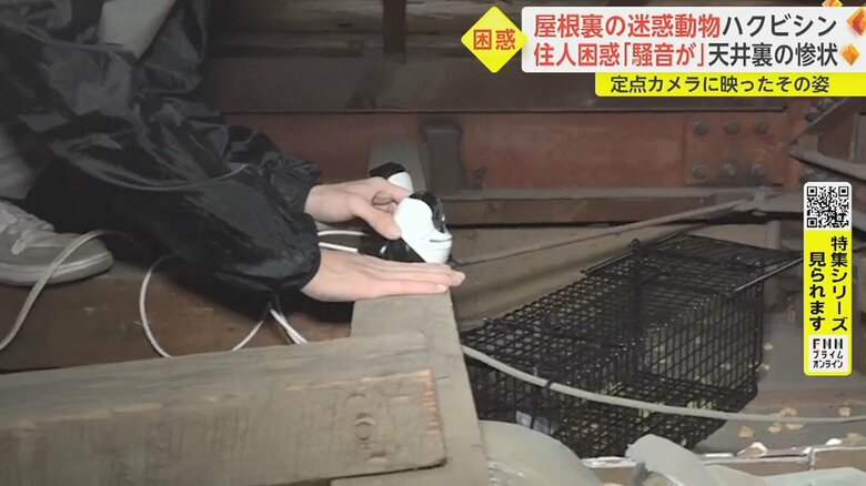 取材班もそれぞれに定点カメラを置く