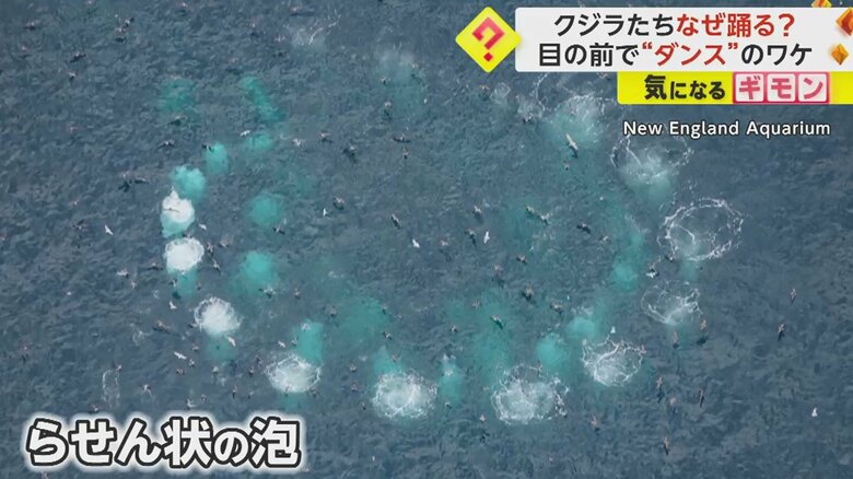 上空からの写真（8月14日撮影）