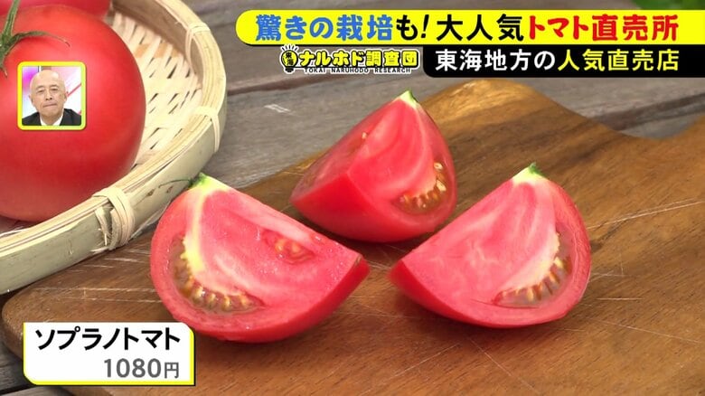 ニュースONE
