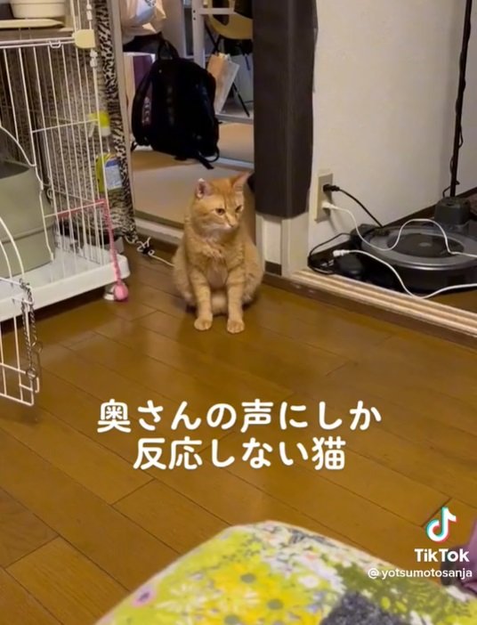 四元さんの2回目の呼びかけには、床をチラリ