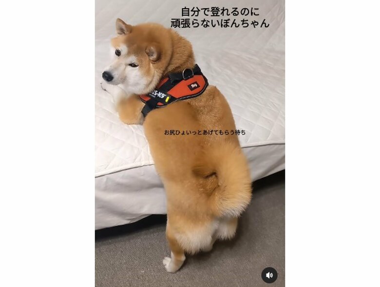 提供：natsumi.nnnさん