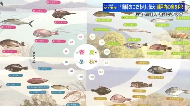 四季折々の広島の魚を一覧にしたパネル