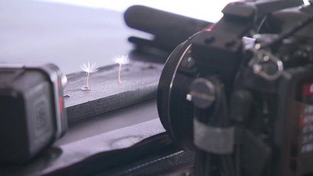 撮影の様子
