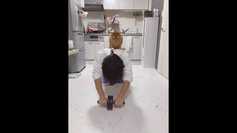 提供：たぬき&とらさん