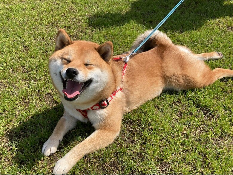 提供：小梅と小夏さん