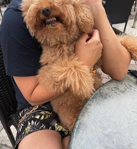 提供：ピン太郎ママさん