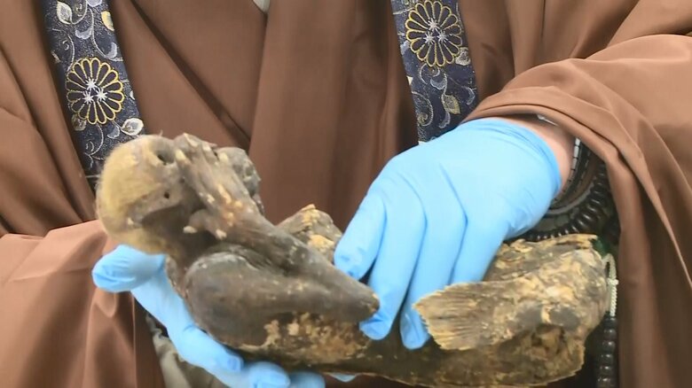 円珠院で保存されている「人魚のミイラ」