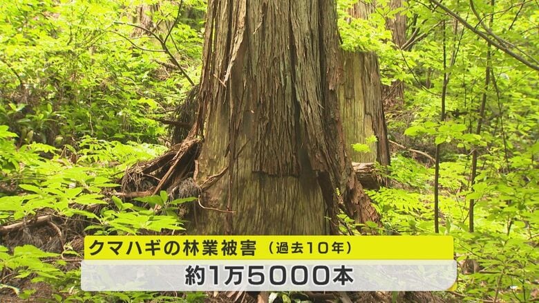 県内の林業被害も深刻だ