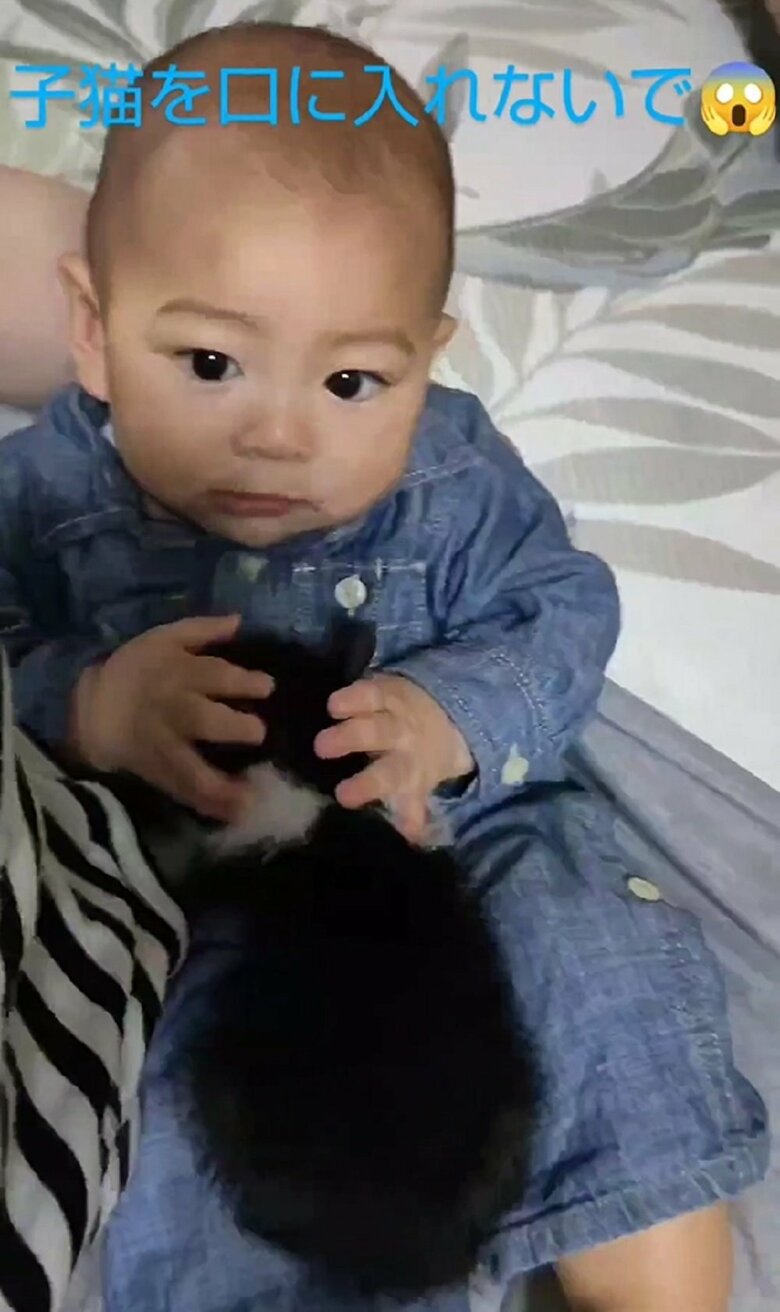 上に乗る凪くんをよしよし