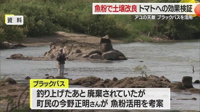 白鷹町では、釣ったブラックバスを1匹300円で買い取る「釣り大会」でアユを天敵から守る