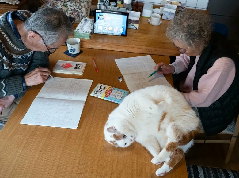 お母さんには甘えるメイくん（提供：MARCOさん）