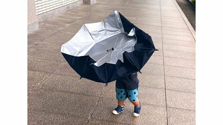 風にあおられてしまった時の様子