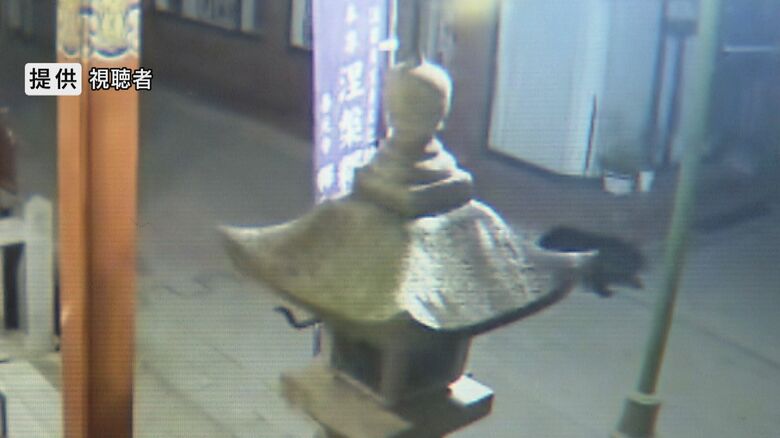善光寺周辺の防犯カメラに映ったクマ