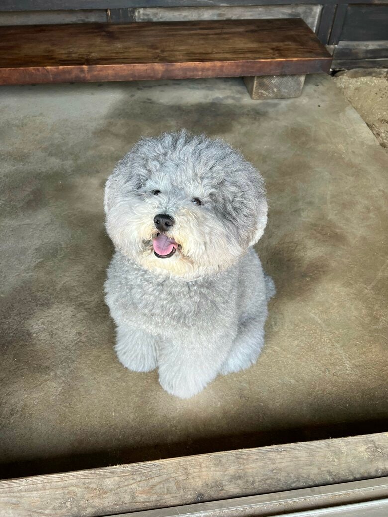 提供：レノン&れあるさん