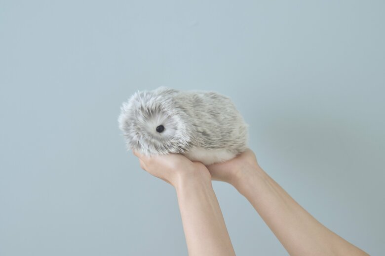 （画像：カシオ計算機）