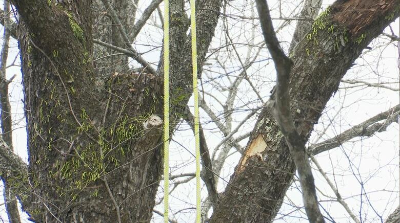 事故現場の別荘地