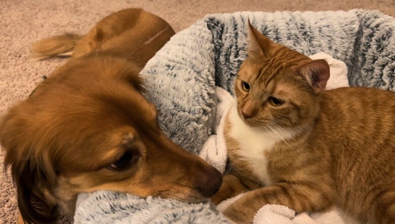 提供：和泉ユタカさん