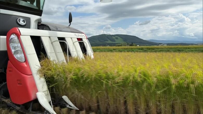 コメ収穫の様子