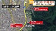 野生のニホンザル・山形市内の住宅街に出没相次ぐ　「絶対に餌を与えないで」　山形