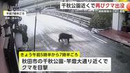秋田市中心部の大町を歩くクマ　飲食店の防犯カメラが捉える　中心市街地で目撃相次ぐ　雪降っても出没続く