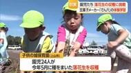 保育園児と一緒に 自分たちで種まいた落花生の収穫体験　山形