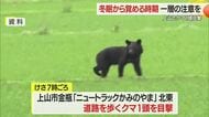 【クマ】上山市で道路歩くクマ1頭目撃…2月にも付近で目撃・冬眠から覚める時期ゆえ一層の注意を　山形