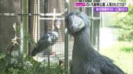 “人気ランキング日本一”の動物園は高知にあった イベントやコスパ…口コミから見える魅力とは