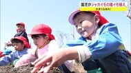 大きくなあれ!園児が種イモ植え 秋田