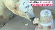 動物園の人気者13歳に 氷のケーキでお祝い 事前予約制で誕生会 日本平動物園