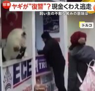 「お金食べちゃったよ」ヤギがバス乗車券カウンターに飛び乗り現金ムシャムシャ「代わりに復讐してくれた」と飼い主は不敵な笑み　トルコ