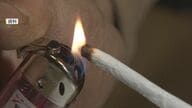 「大麻、ずっと吸ってます。今もっす」 若者の間で乱用広がる大麻…規制かいくぐる新成分も