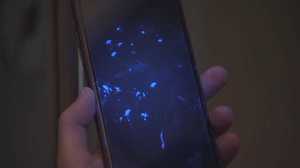 新型コロナウイルスが潜む“ツルツル”のもの スマホに付いたウイルスから感染する危険も…